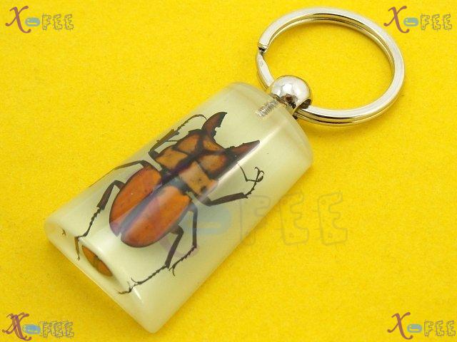 art00379 Chinese Handmade Jewelry Fancy Bag Decoration Collection Keychain Beetle Pendant 2
