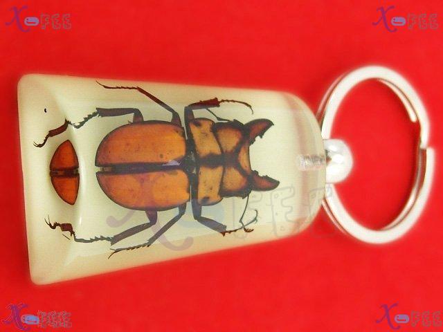 art00379 Chinese Handmade Jewelry Fancy Bag Decoration Collection Keychain Beetle Pendant 4